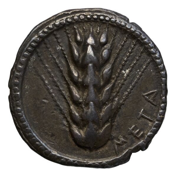 Metapontum Historia Numorum Italy 1459, аверс, bnf-iris