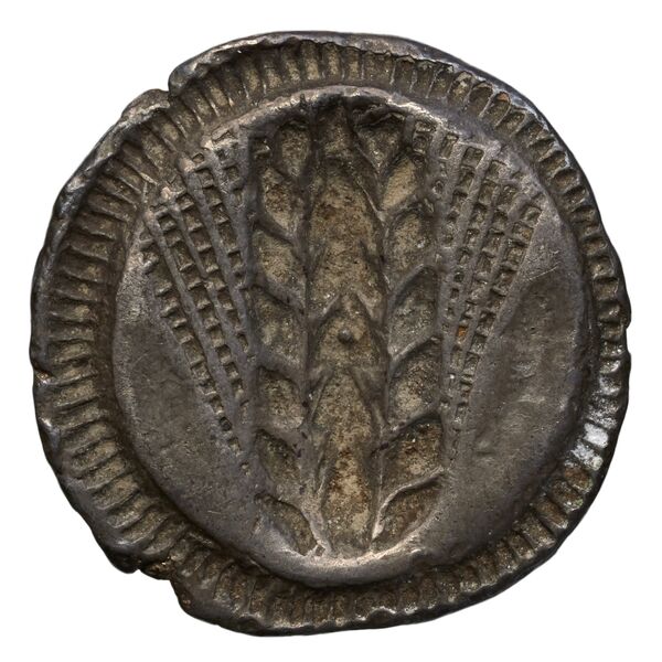 Metapontum Historia Numorum Italy 1459, реверс, bnf-iris