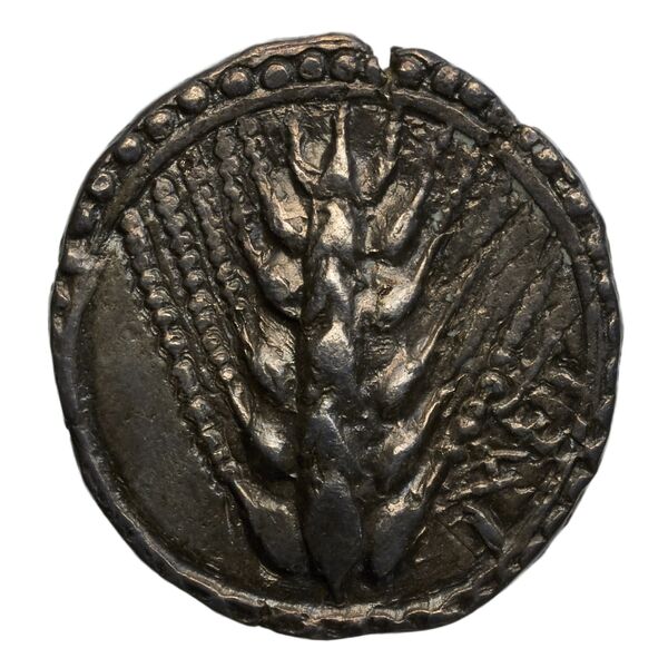 obverse Metapontum Historia Numorum Italy 1487
