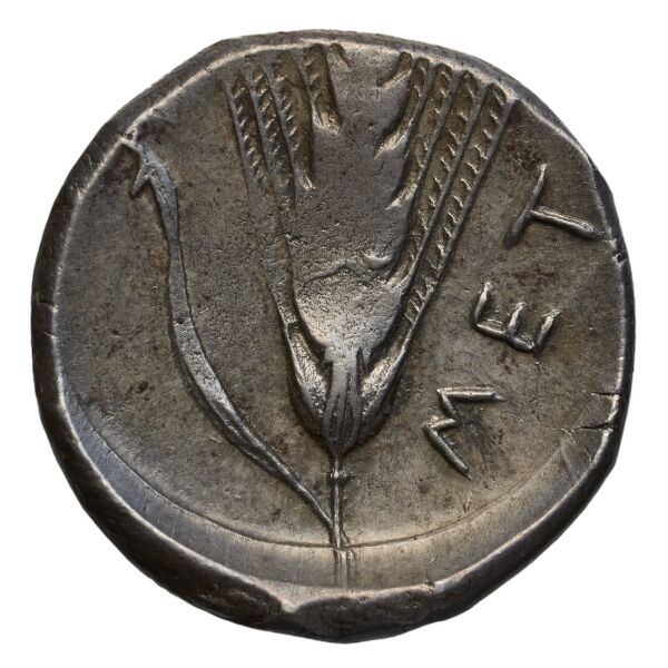 reverse Metapontum Historia Numorum Italy 1515-22