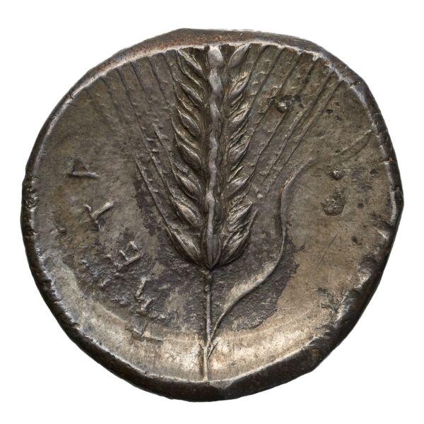 reverse Metapontum Historia Numorum Italy 1531-2
