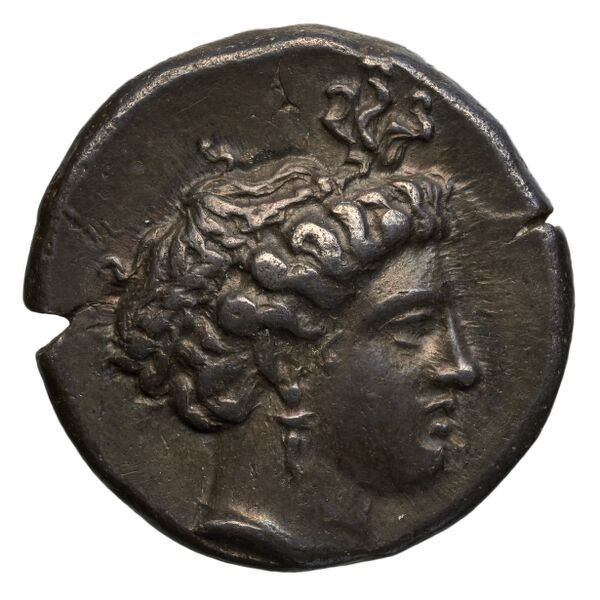 obverse Metapontum Historia Numorum Italy 1535-51