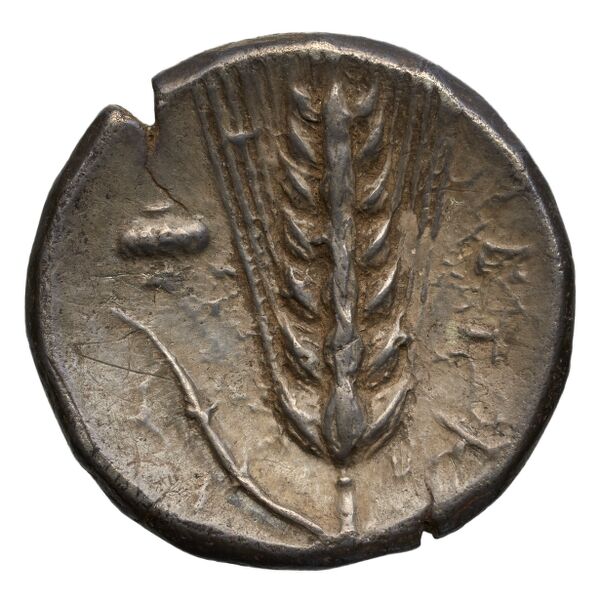 reverse Metapontum Historia Numorum Italy 1535-51