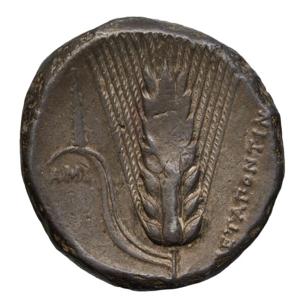 reverse Metapontum Historia Numorum Italy 1574