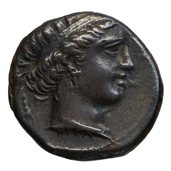 Metapontum Historia Numorum Italy 1535-51, аверс, bnf-iris