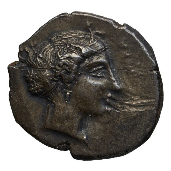 obverse Metapontum Historia Numorum Italy 1526