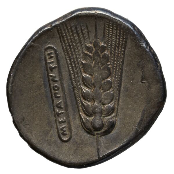 Metapontum Historia Numorum Italy 1535-51, реверс, bnf-iris