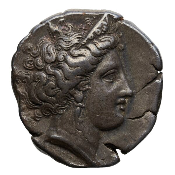 obverse Metapontum Historia Numorum Italy 1554