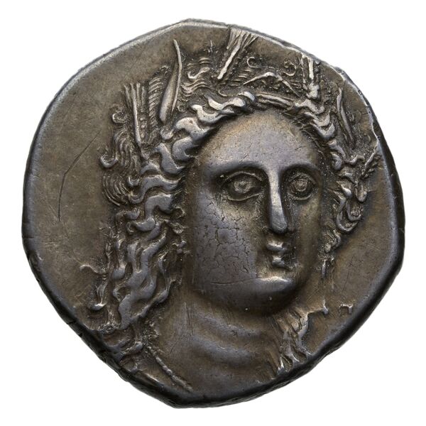 obverse Metapontum Historia Numorum Italy 1584
