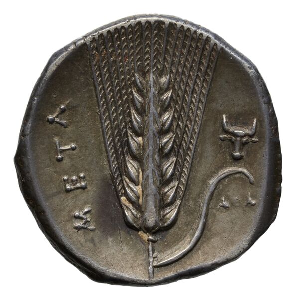 reverse Metapontum Historia Numorum Italy 1584