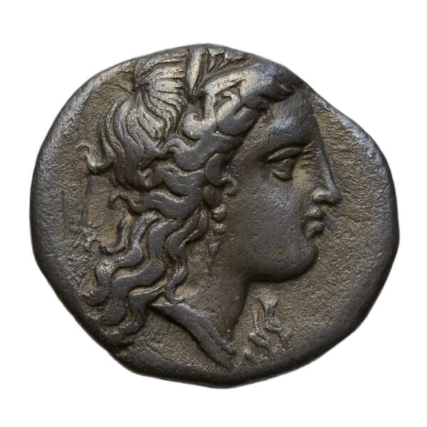 obverse Metapontum Historia Numorum Italy 1594