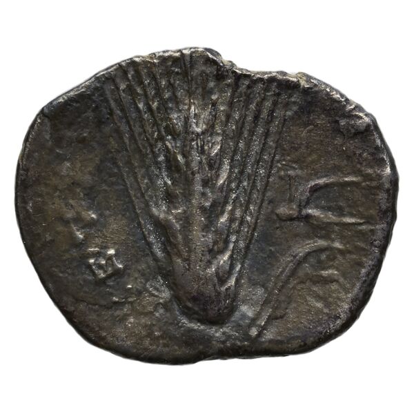 Metapontum Historia Numorum Italy 1594, реверс, bnf-iris