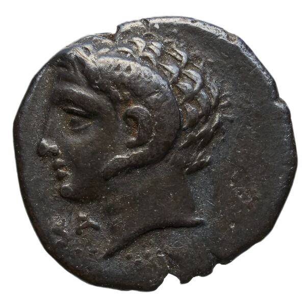 obverse Metapontum Historia Numorum Italy 1601