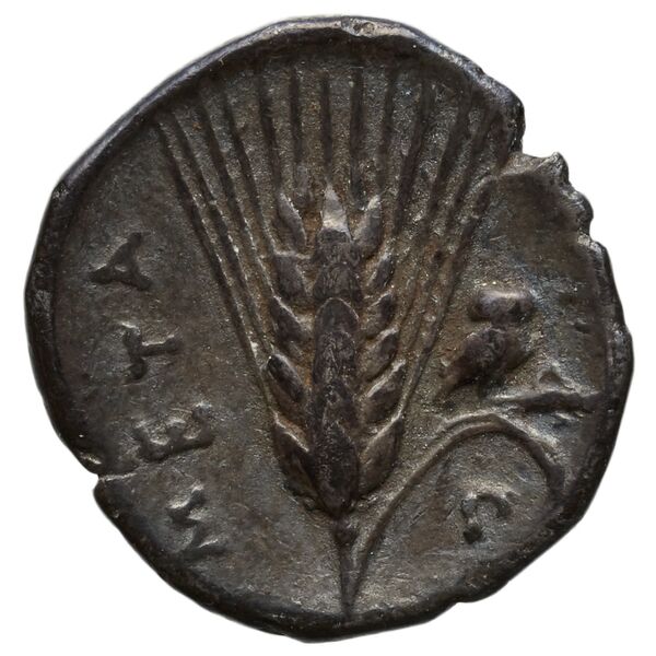reverse Metapontum Historia Numorum Italy 1601