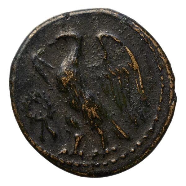 аверс Metapontum Historia Numorum Italy 1674
