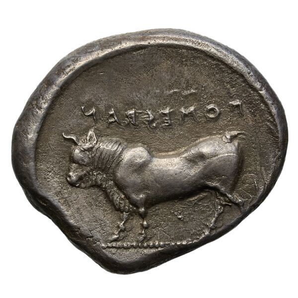 реверс Poseidonia Historia Numorum Italy 1127