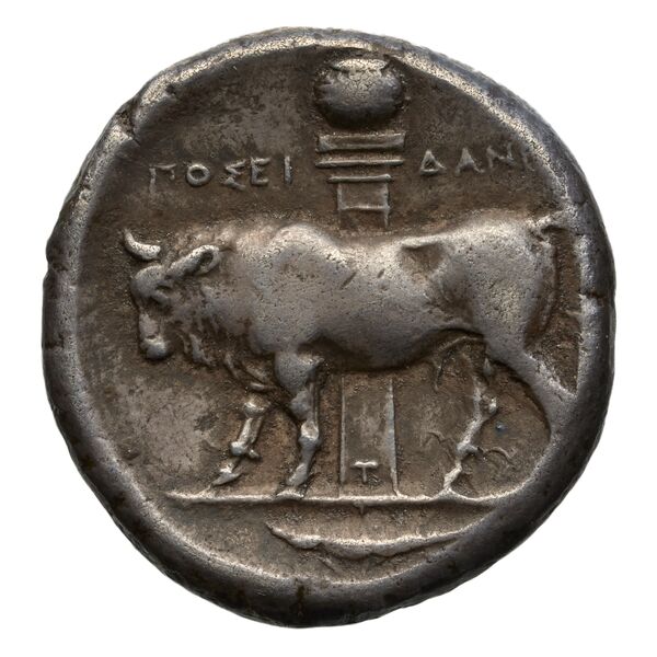 реверс Poseidonia Historia Numorum Italy 1129-39