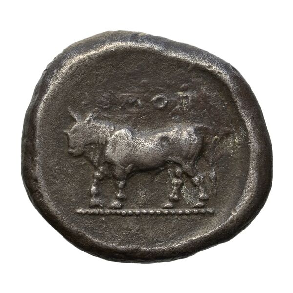 реверс Poseidonia Historia Numorum Italy 1114
