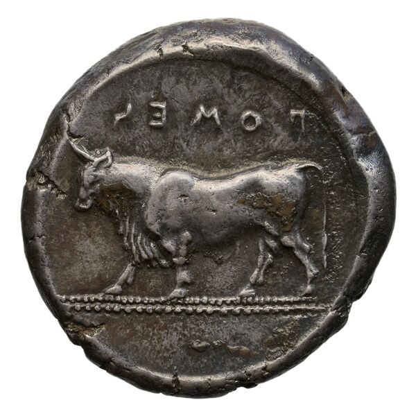 реверс Poseidonia Historia Numorum Italy 1116