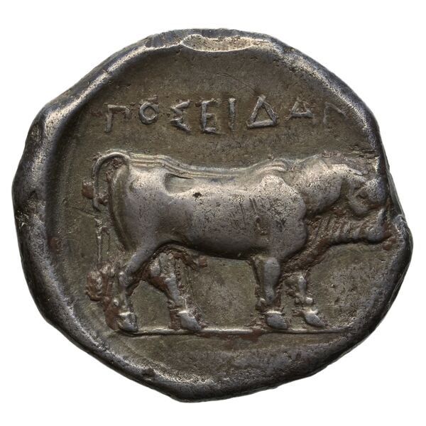 Poseidonia Historia Numorum Italy 1129-39, реверс, bnf-iris