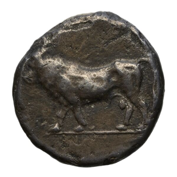 реверс Poseidonia Historia Numorum Italy 1118