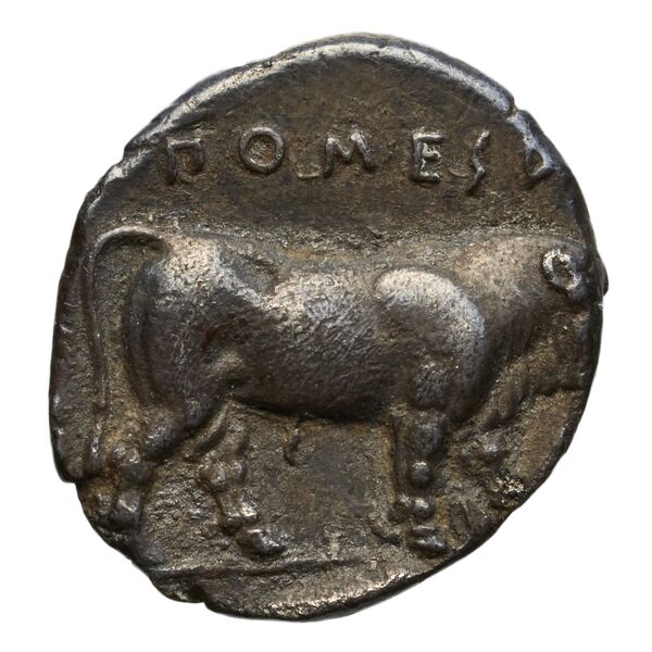 реверс Poseidonia Historia Numorum Italy 1119