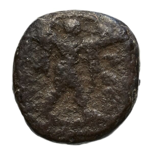 аверс Poseidonia Historia Numorum Italy 1121