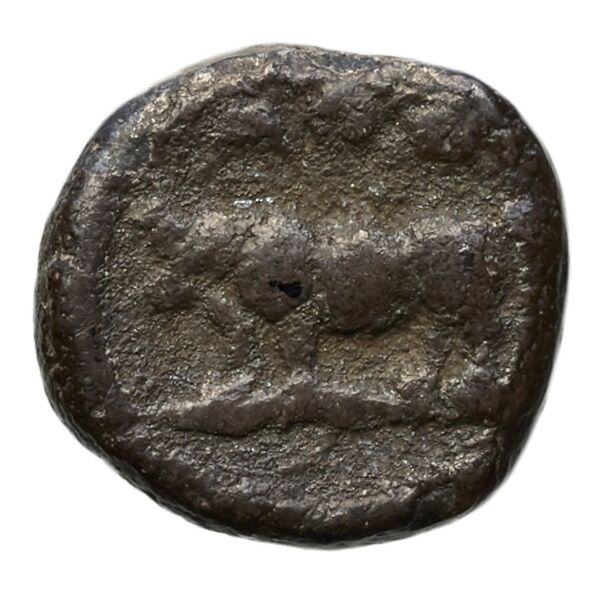 реверс Poseidonia Historia Numorum Italy 1121