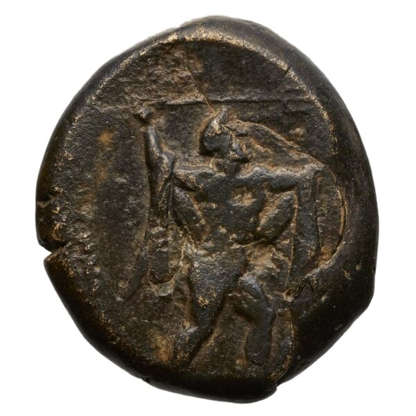 Poseidonia Historia Numorum Italy 1171-9, аверс, bnf-iris