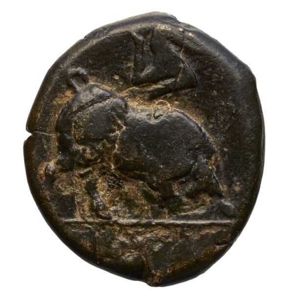 Poseidonia Historia Numorum Italy 1171-9, реверс, bnf-iris