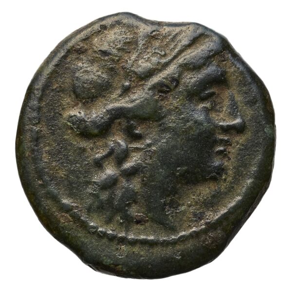 Paestum Historia Numorum Italy 1193, аверс, bnf-iris