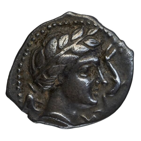 аверс Allifae Historia Numorum Italy 460