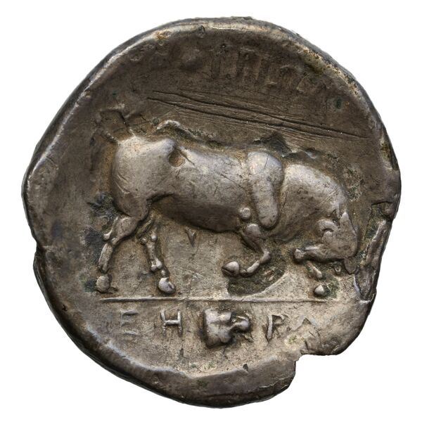Thurium Historia Numorum Italy 1856-1861, реверс, bnf-iris