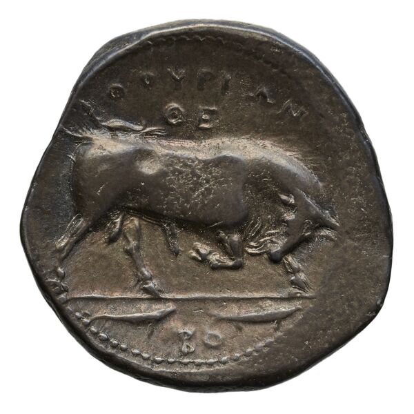 Thurium Historia Numorum Italy 1870-1875, реверс, bnf-iris