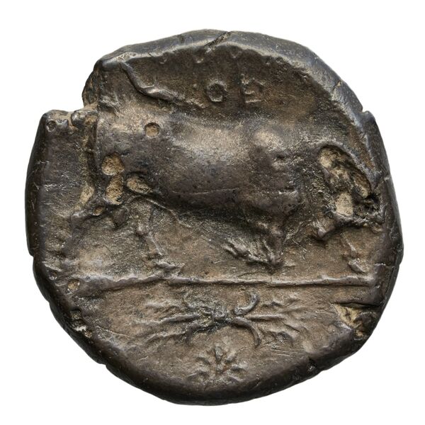 Thurium Historia Numorum Italy 1870-1875, реверс, bnf-iris