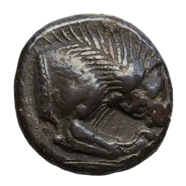 Velia Historia Numorum Italy 1259, аверс, bnf-iris