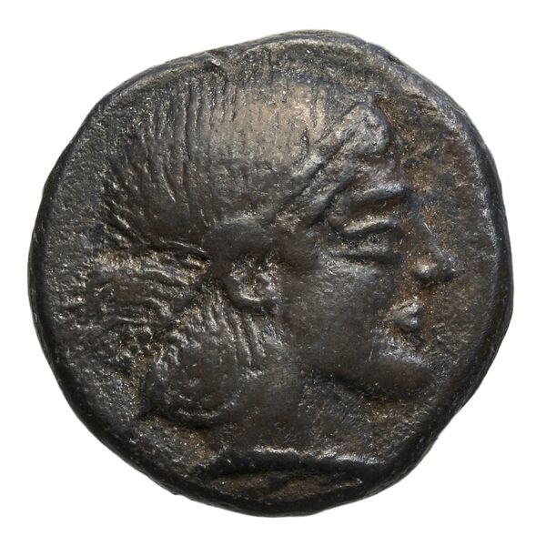 аверс Velia Historia Numorum Italy 1265