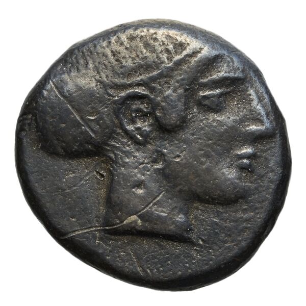 Velia Historia Numorum Italy 1265, аверс, bnf-iris