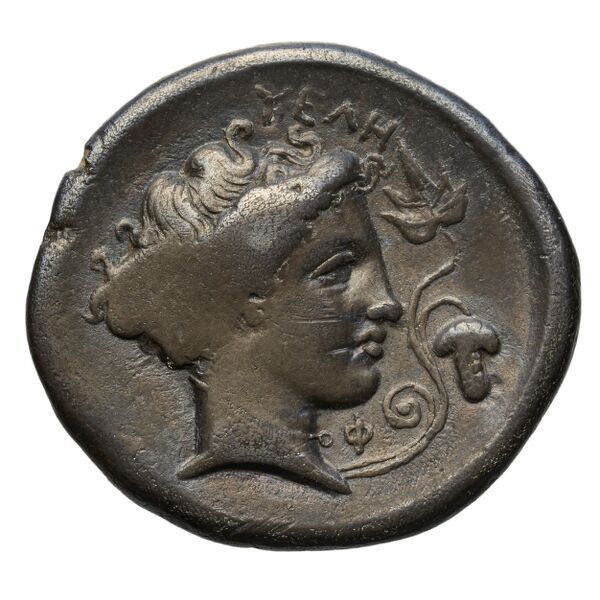 аверс Velia Historia Numorum Italy 1275-6