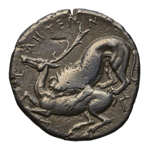 Velia Historia Numorum Italy 1270, реверс, bnf-iris