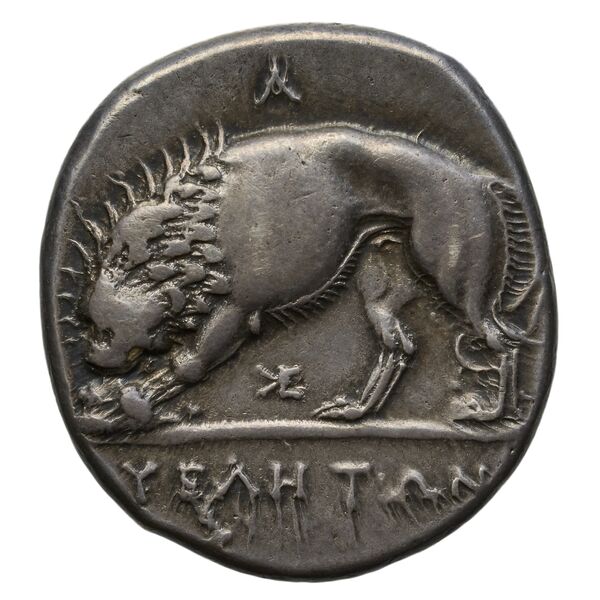 реверс Velia Historia Numorum Italy 1289-94, 1296-98