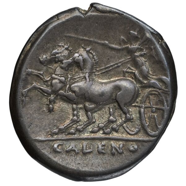 Cales Historia Numorum Italy 434, реверс, bnf-iris