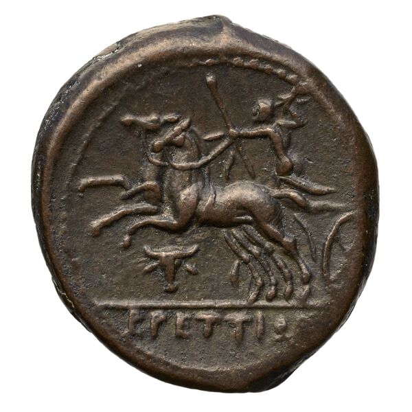 Brettii Bruttium Historia Numorum Italy 1989, реверс, bnf-iris