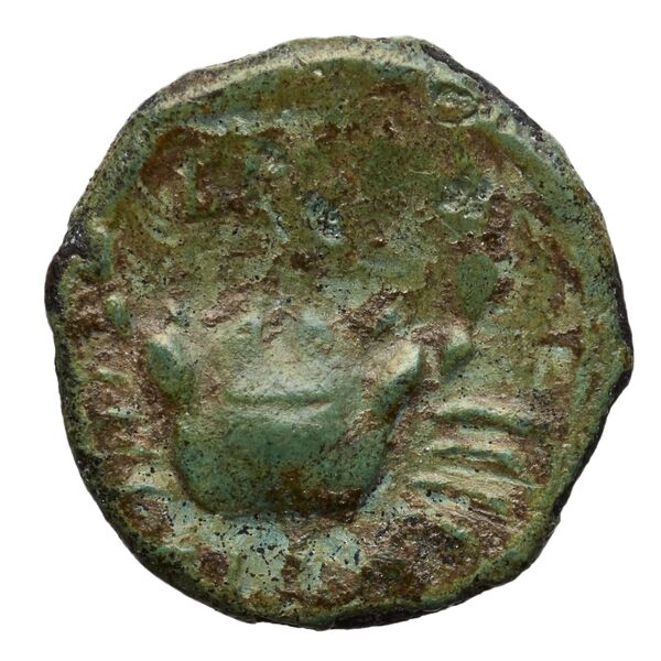Brettii Bruttium Historia Numorum Italy 1983, реверс, bnf-iris