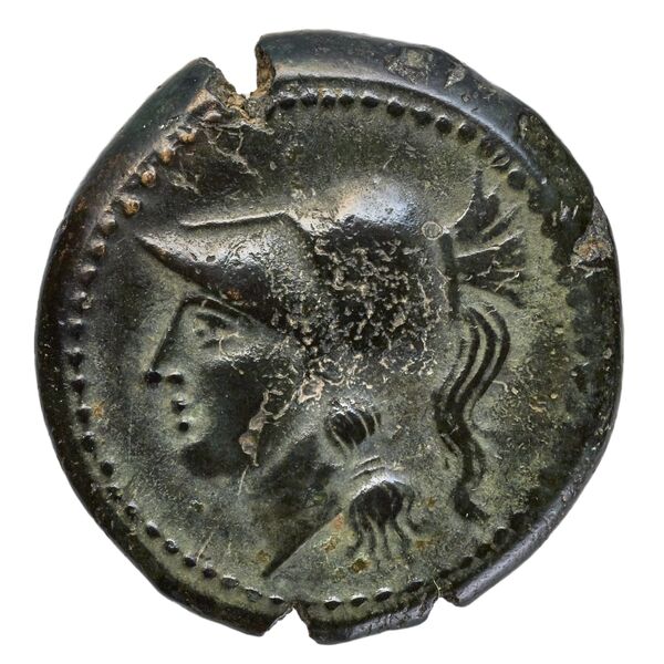 Cales Historia Numorum Italy 435, аверс, bnf-iris