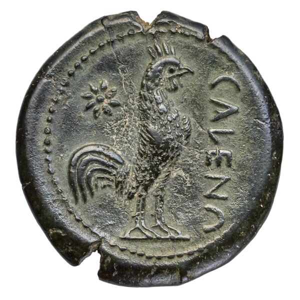 Cales Historia Numorum Italy 435, реверс, bnf-iris