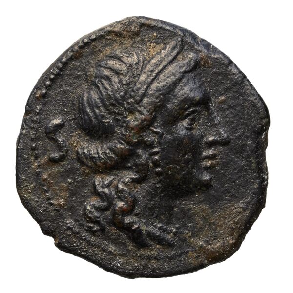 Vibo Valentia Historia Numorum Italy 2263, аверс, bnf-iris
