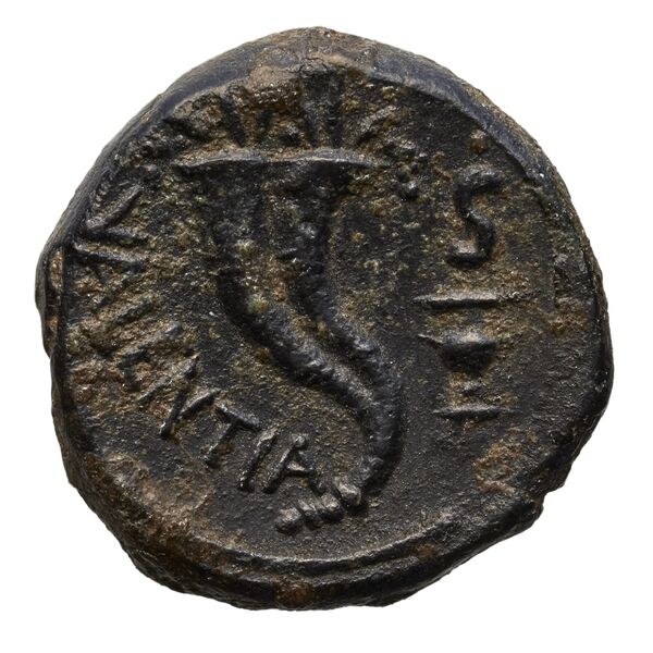 Vibo Valentia Historia Numorum Italy 2263, реверс, bnf-iris