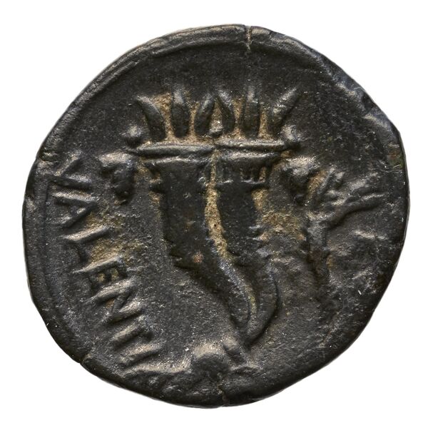 Vibo Valentia Historia Numorum Italy 2263, реверс, bnf-iris