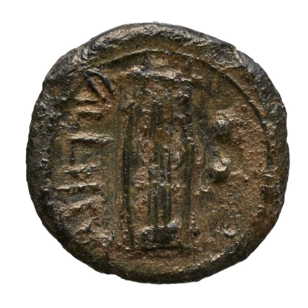Vibo Valentia Historia Numorum Italy 2266, реверс, bnf-iris